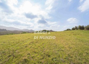 0005.jpg - Terreno agricolo Via delle Selve di Pallotta, Monte Compatri - foto 7