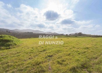 0006.jpg - Terreno agricolo Via delle Selve di Pallotta, Monte Compatri - foto 8