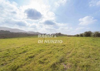 0007.jpg - Terreno agricolo Via delle Selve di Pallotta, Monte Compatri - foto 9