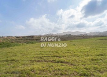 0008.jpg - Terreno agricolo Via delle Selve di Pallotta, Monte Compatri - foto 10