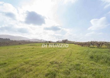 0009.jpg - Terreno agricolo Via delle Selve di Pallotta, Monte Compatri - foto 11