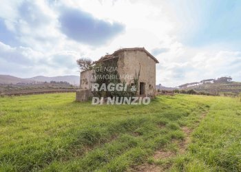 0012.jpg - Terreno agricolo Via delle Selve di Pallotta, Monte Compatri - foto 14