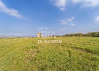 0015.jpg - Terreno agricolo Via delle Selve di Pallotta, Monte Compatri - foto 17
