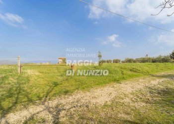 0016.jpg - Terreno agricolo Via delle Selve di Pallotta, Monte Compatri - foto 18