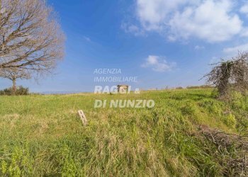 0017.jpg - Terreno agricolo Via delle Selve di Pallotta, Monte Compatri - foto 19