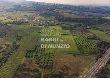 0018.jpg - Terreno agricolo Via delle Selve di Pallotta, Monte Compatri - foto 20