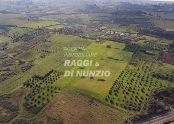 0019.jpg - Terreno agricolo Via delle Selve di Pallotta, Monte Compatri - foto 21