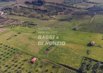 0020.jpg - Terreno agricolo Via delle Selve di Pallotta, Monte Compatri - foto 22