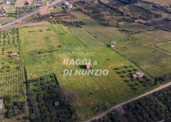 0021.jpg - Terreno agricolo Via delle Selve di Pallotta, Monte Compatri - foto 23