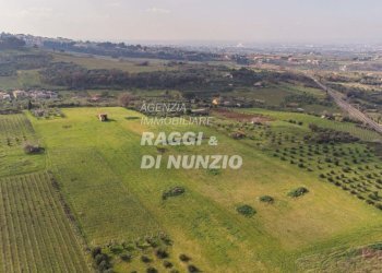 0024.jpg - Terreno agricolo Via delle Selve di Pallotta, Monte Compatri - foto 25