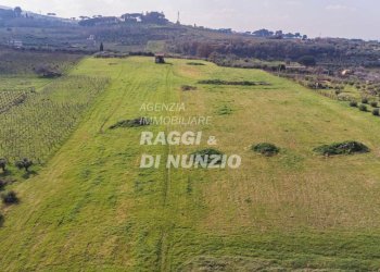 0025.jpg - Terreno agricolo Via delle Selve di Pallotta, Monte Compatri - foto 26