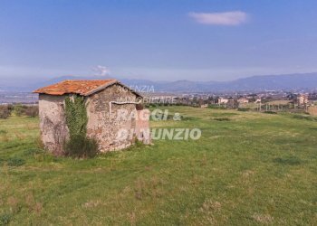 0030.jpg - Terreno agricolo Via delle Selve di Pallotta, Monte Compatri - foto 30