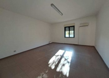 WhatsApp Image 2025-10-09 at 17.13.05.jpeg - Office Via Rimembranze, Amelia - photo 12