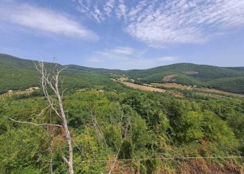 30.jpeg - Townhouse Strada di Macchie, Amelia - photo 28