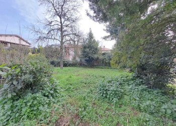 13 Terreno.jpeg - Terratetto - Terracielo Vocabolo Origliano, Orte - foto 12