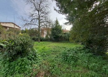 14 Terreno.jpeg - Terratetto - Terracielo Vocabolo Origliano, Orte - foto 13