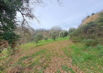 20 Terreno.jpeg - Terratetto - Terracielo Vocabolo Origliano, Orte - foto 19