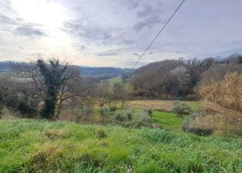 22 Terreno.jpeg - Terratetto - Terracielo Vocabolo Origliano, Orte - foto 21