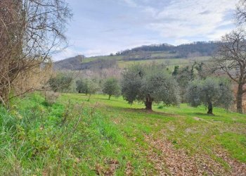 23 Terreno.jpeg - Terratetto - Terracielo Vocabolo Origliano, Orte - foto 22