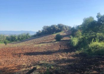 11.jpg - Terreno agricolo Via Colle Spinello, Guidonia Montecelio - foto 4