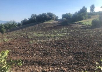 12.jpg - Terreno agricolo Via Colle Spinello, Guidonia Montecelio - foto 5