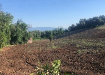 13.jpg - Terreno agricolo Via Colle Spinello, Guidonia Montecelio - foto 6