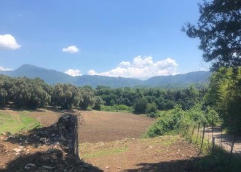 14.jpg - Terreno agricolo Via Colle Spinello, Guidonia Montecelio - foto 7