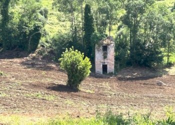 1.jpg - Terreno agricolo Via Colle Spinello, Guidonia Montecelio - foto 10