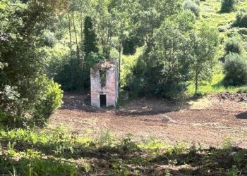 4.jpg - Terreno agricolo Via Colle Spinello, Guidonia Montecelio - foto 15