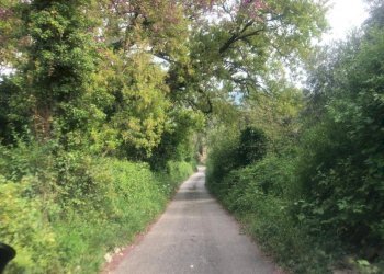 6.jpg - Terreno agricolo Via Colle Spinello, Guidonia Montecelio - foto 16