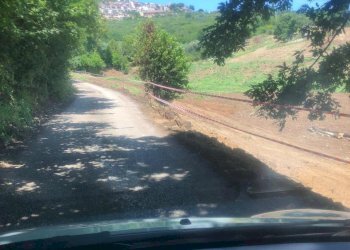 7.jpg - Terreno agricolo Via Colle Spinello, Guidonia Montecelio - foto 17