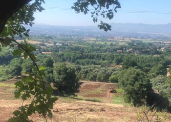 8.jpg - Terreno agricolo Via Colle Spinello, Guidonia Montecelio - foto 18
