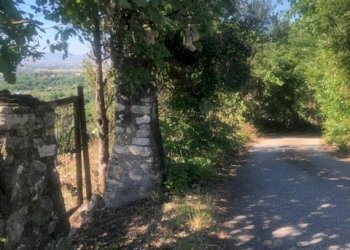 9.jpg - Terreno agricolo Via Colle Spinello, Guidonia Montecelio - foto 19