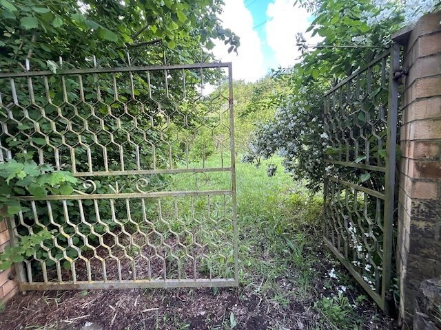 IMG_5427.jpg - Terreno agricolo Vocabolo Campetella 19, Guidonia Montecelio - foto 1