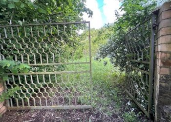 IMG_5427.jpg - Terreno agricolo Vocabolo Campetella 19, Guidonia Montecelio - foto 1