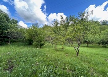 IMG_5419.jpg - Terreno agricolo Vocabolo Campetella 19, Guidonia Montecelio - foto 5
