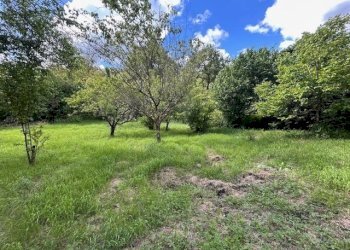 IMG_5410.jpg - Terreno agricolo Vocabolo Campetella 19, Guidonia Montecelio - foto 11