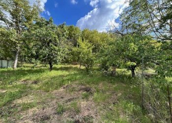 IMG_5400.jpg - Terreno agricolo Vocabolo Campetella 19, Guidonia Montecelio - foto 14