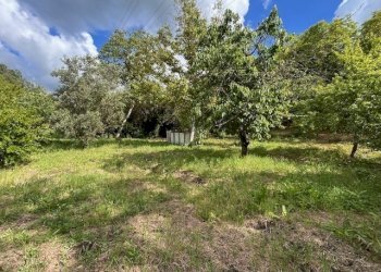 IMG_5401.jpg - Terreno agricolo Vocabolo Campetella 19, Guidonia Montecelio - foto 15