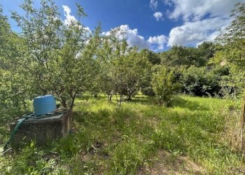 IMG_5403.jpg - Terreno agricolo Vocabolo Campetella 19, Guidonia Montecelio - foto 18