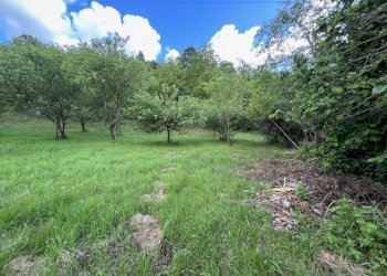 IMG_5417.jpg - Terreno agricolo Vocabolo Campetella 19, Guidonia Montecelio - foto 20