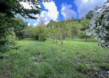 IMG_5429.jpg - Terreno agricolo Vocabolo Campetella 19, Guidonia Montecelio - foto 22