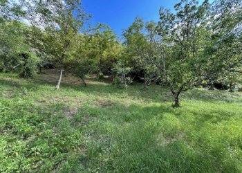 IMG_5412.jpg - Terreno agricolo Vocabolo Campetella 19, Guidonia Montecelio - foto 26