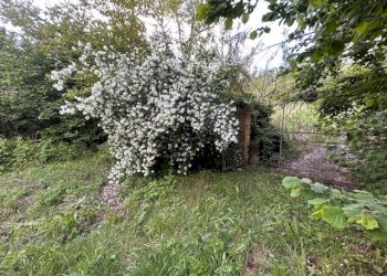 IMG_5423.jpg - Terreno agricolo Vocabolo Campetella 19, Guidonia Montecelio - foto 28