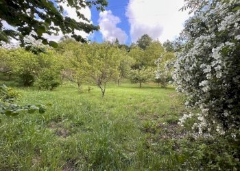 IMG_5424.jpg - Terreno agricolo Vocabolo Campetella 19, Guidonia Montecelio - foto 29