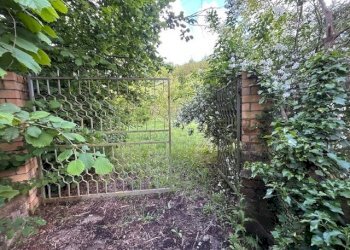 IMG_5425.jpg - Terreno agricolo Vocabolo Campetella 19, Guidonia Montecelio - foto 30