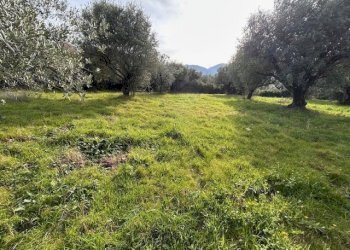 IMG_4322.jpg - Terreno agricolo Strada di Fonte Paolone, Marcellina - foto 2