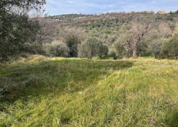 IMG_4325.jpg - Terreno agricolo Strada di Fonte Paolone, Marcellina - foto 4
