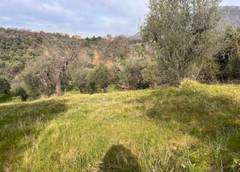 IMG_4326.jpg - Terreno agricolo Strada di Fonte Paolone, Marcellina - foto 5