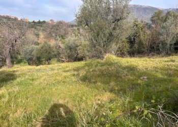 IMG_4327.jpg - Terreno agricolo Strada di Fonte Paolone, Marcellina - foto 6